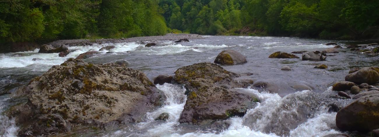 Sandy Wild and Scenic River