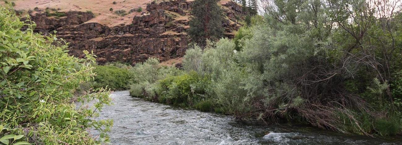 View of the South Fork John Day River with basalt cliff in distance.