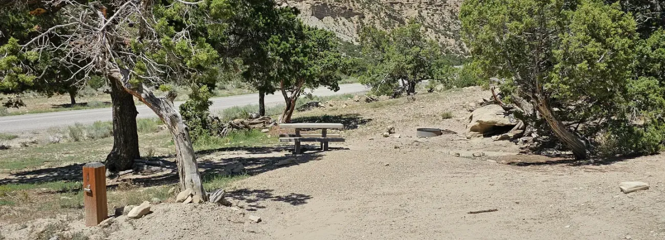Cottonwood site. Campsite with picnic table and campsite post marker.