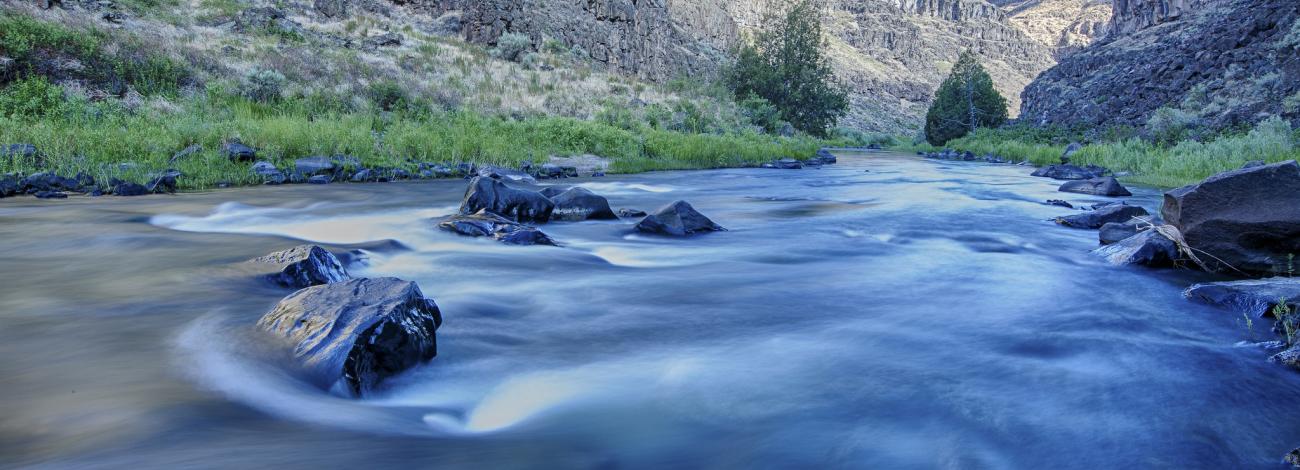 Bruneau-Jarbidge River