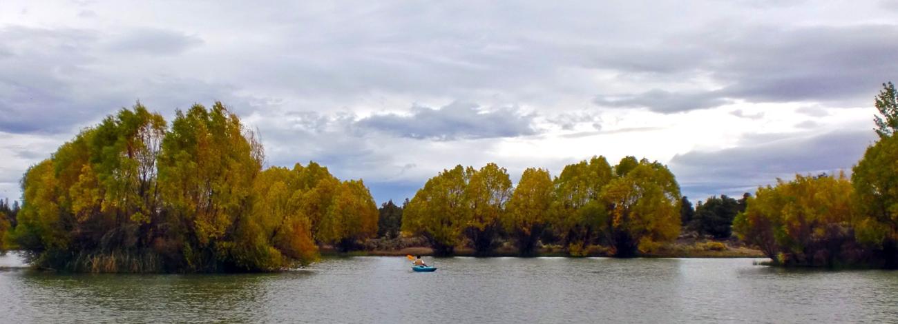 Reynolds Pond