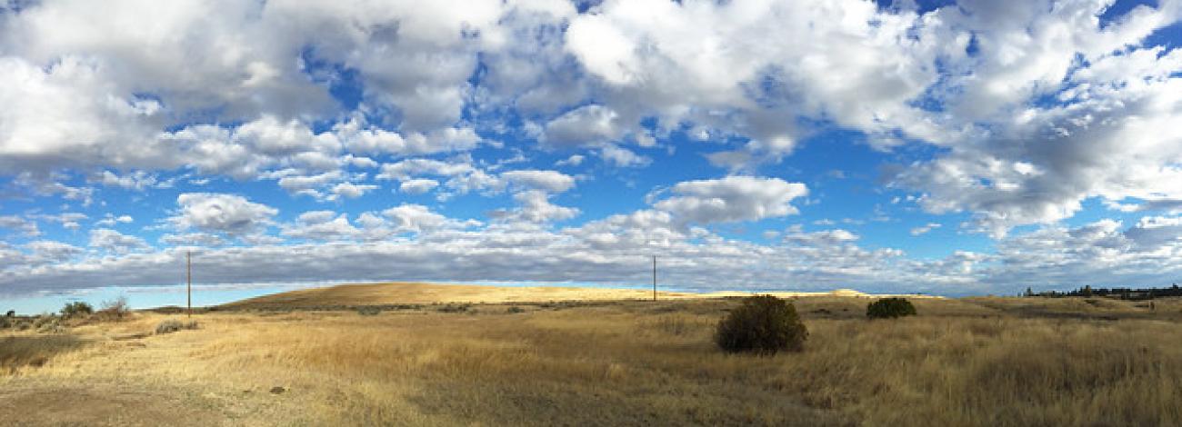 View of grassy landscape at Folsom Farm.