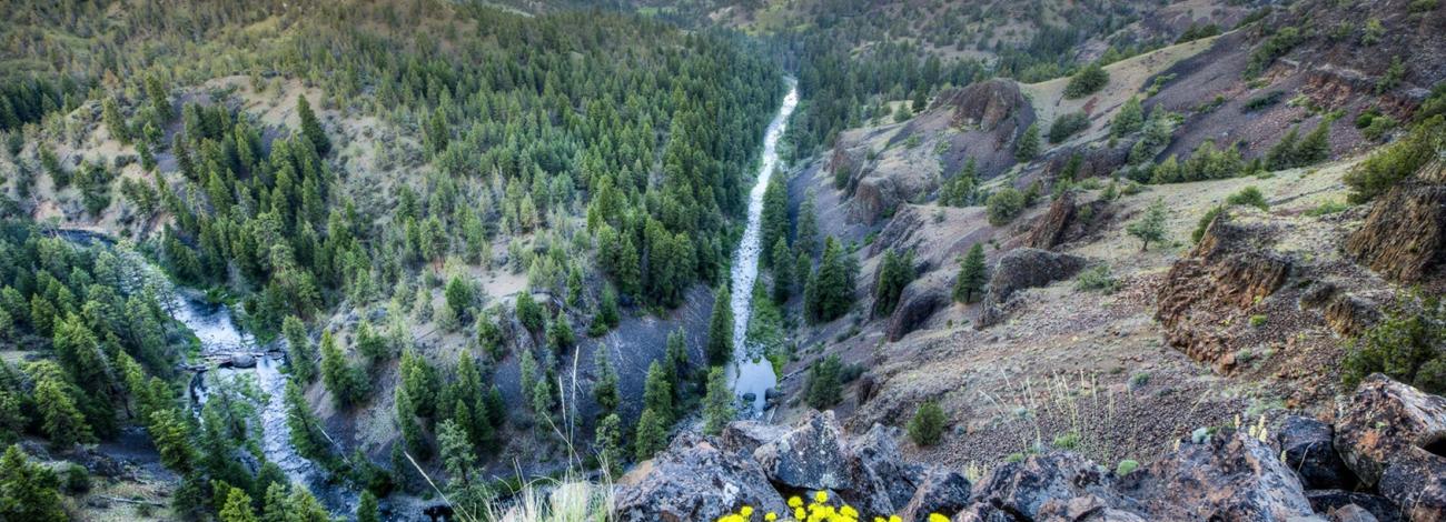 An evening view of the North Fork Crooked Wild and Scenic River