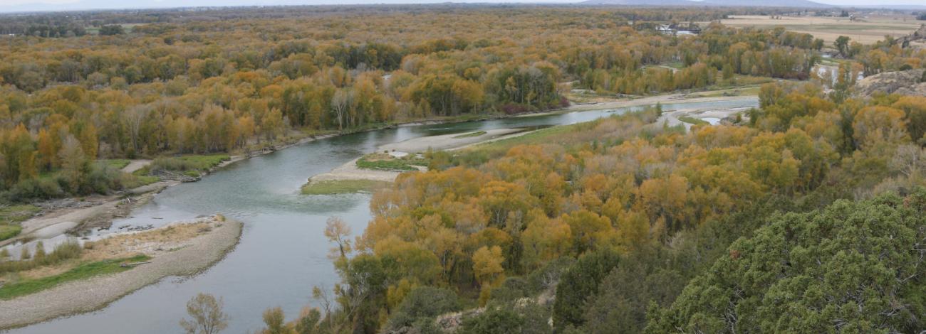 Cress Creek