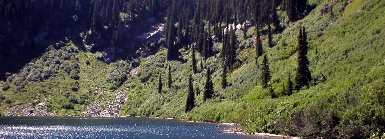 Little Lost Lake