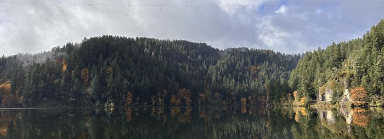 View of Loon Lake from East Shore day use area in fall season 