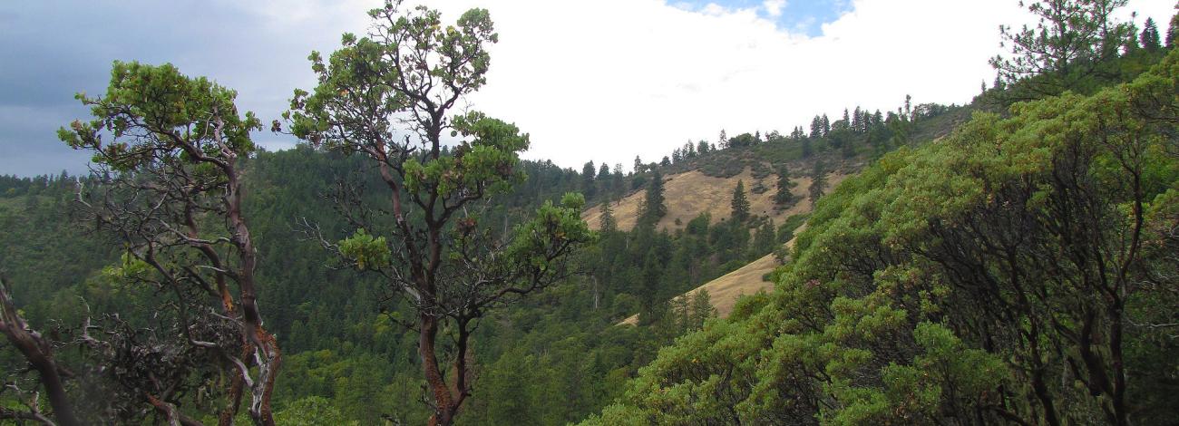Sterling Mine Ditch Trail