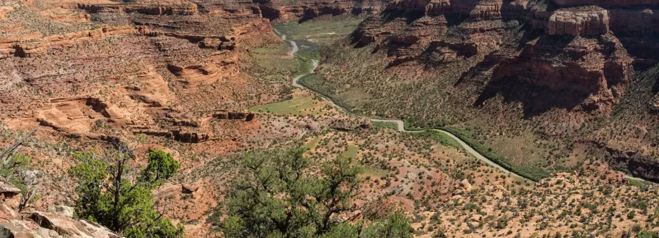 Looking down from the mesa top to the Dolores River as it winds through the canyon. 