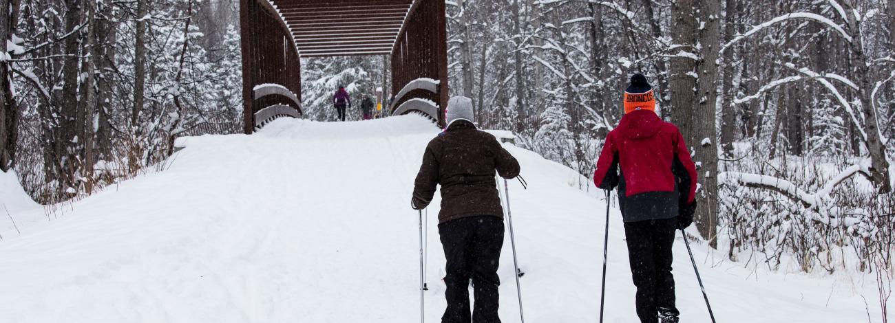 Winter skiing on Campbell Tract