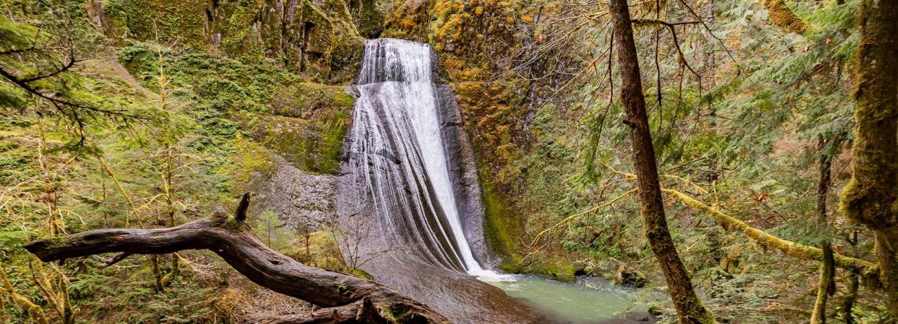 Wolf Creek Falls