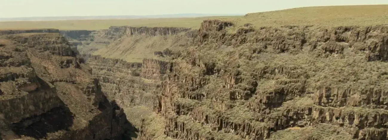 Bruneau Canyon Overlook