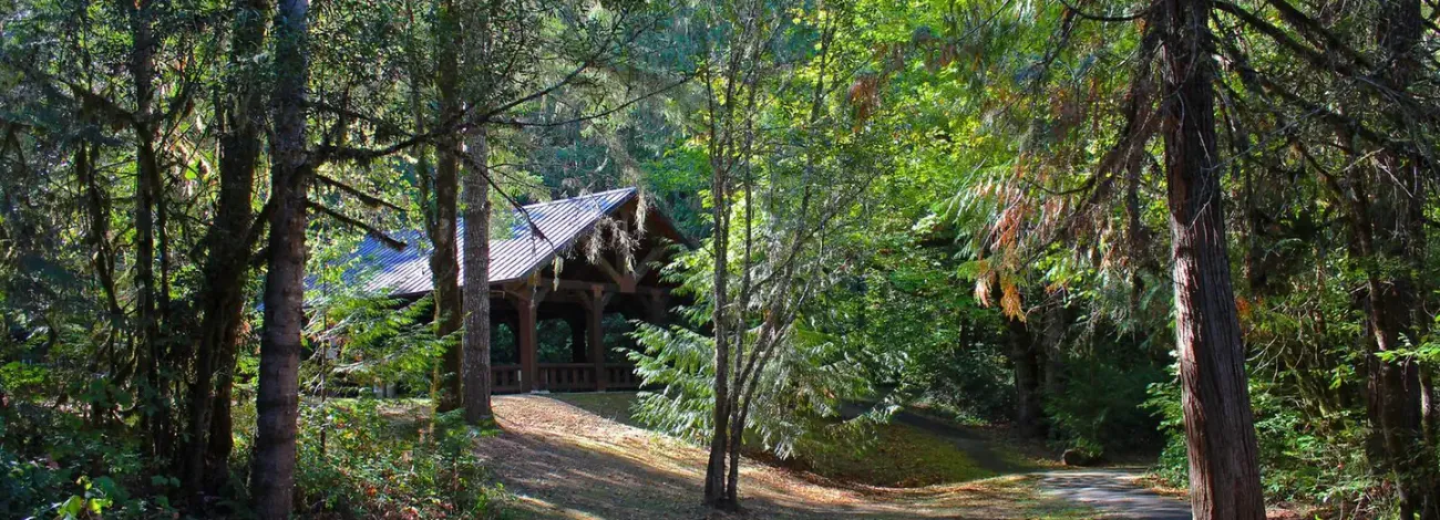 View of the pavilion and nearby paved path at Tyee Recreation Site