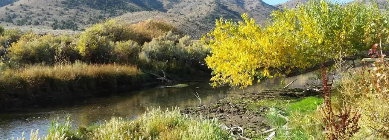 A photo of Beaver River within the Hanging Rock Campground