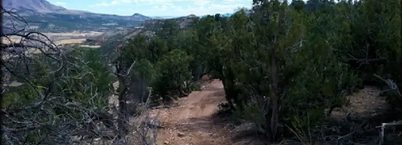 Seep Springs OHV Area Trail