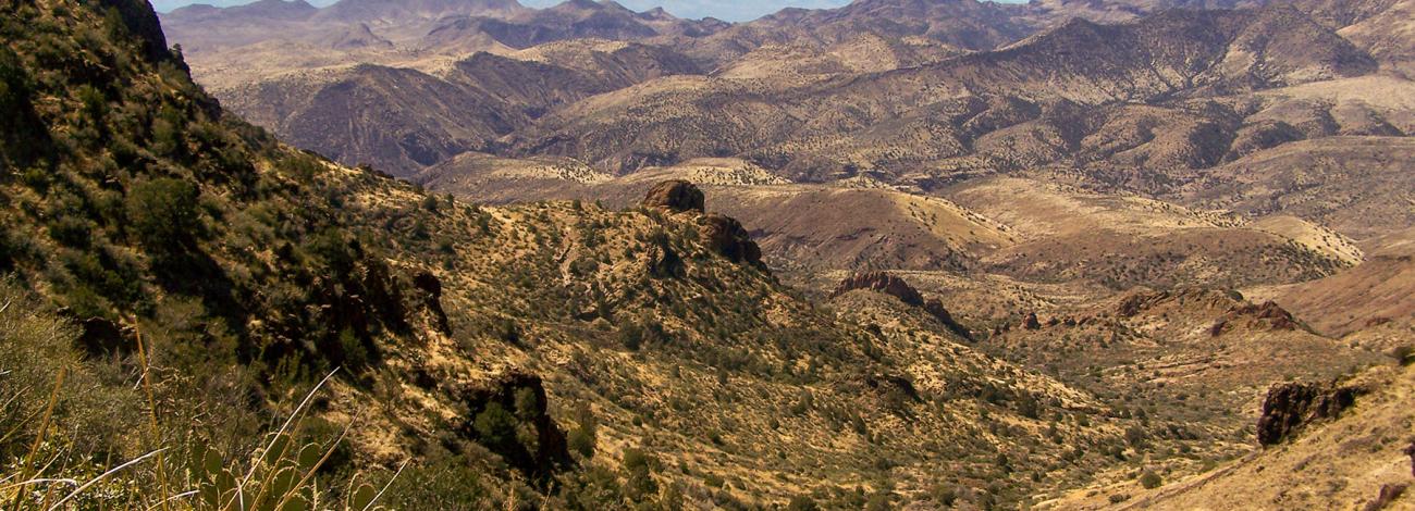 Turtle Mountain Summit