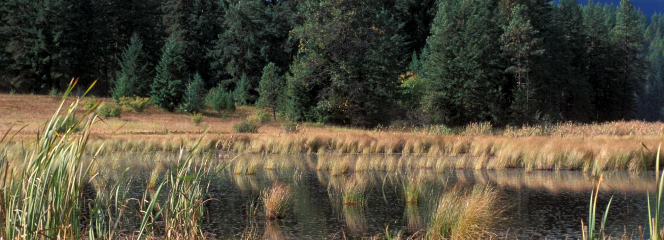 Gamlin Lake