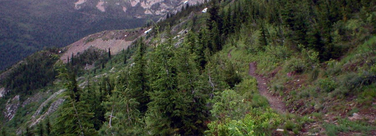 Sheep Springs Overlook