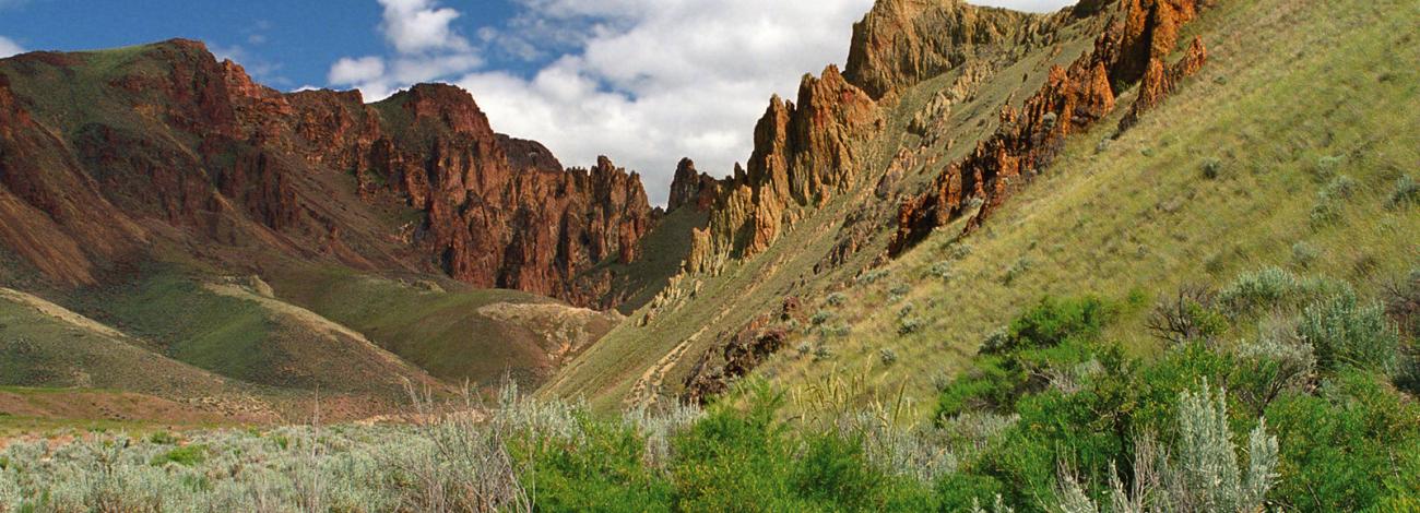 Leslie Gulch Area of Critical Environmental Concern