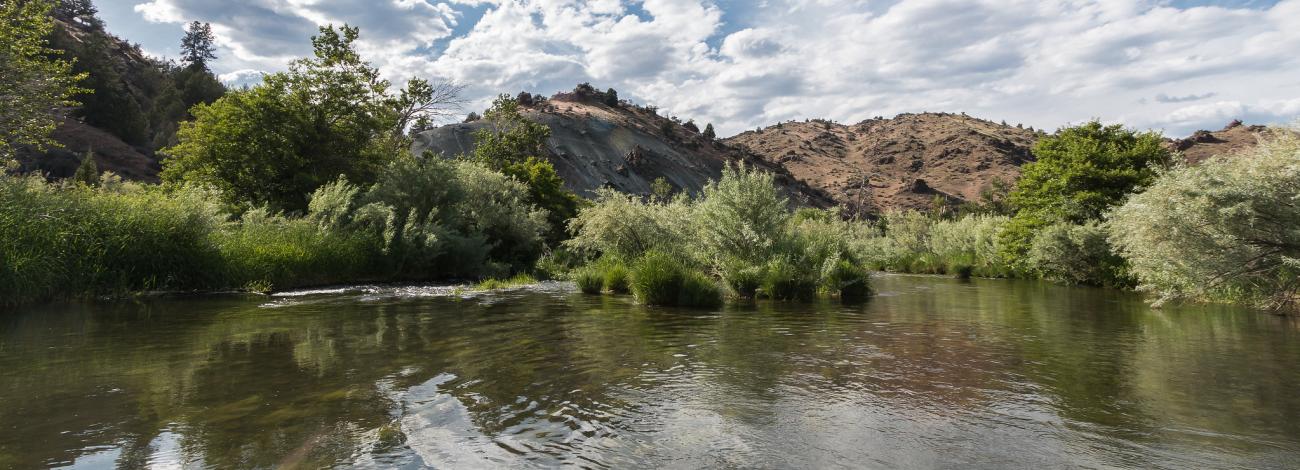 Downriver view of the South Fork John Day Wild and Scenic River, south of Smoky Creek