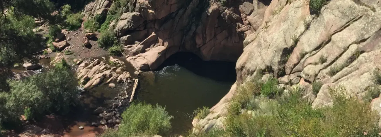View of waterhole