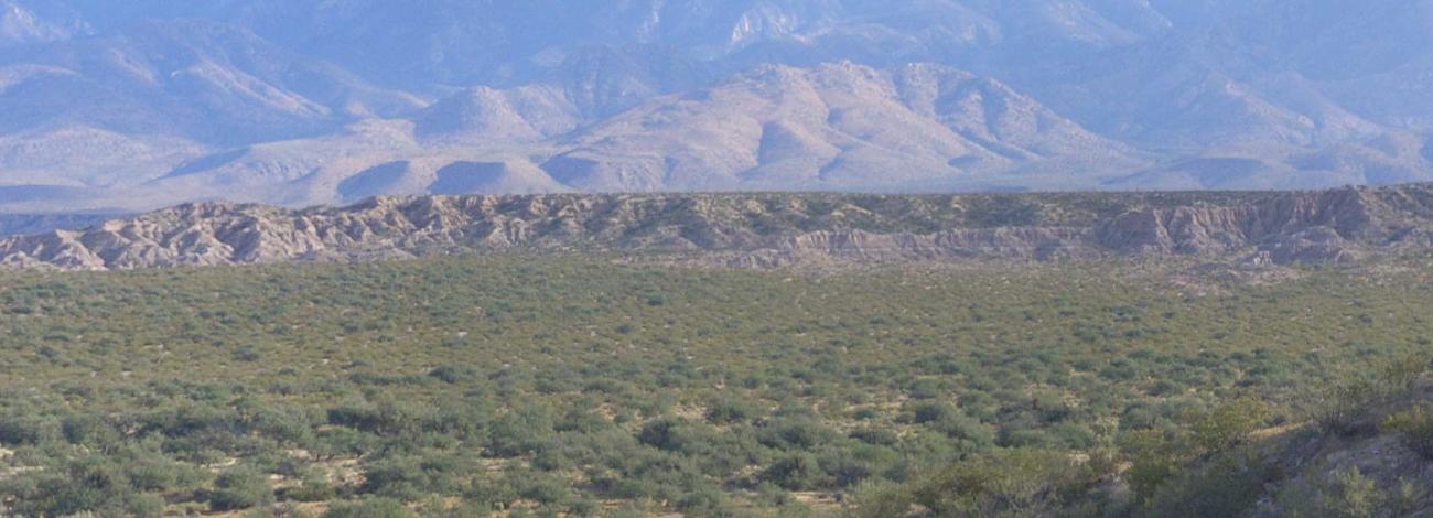 Bear Springs Badlands