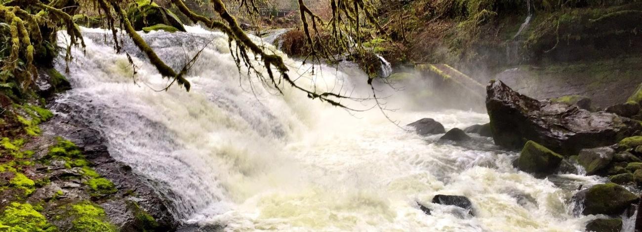 Lake Creek Falls
