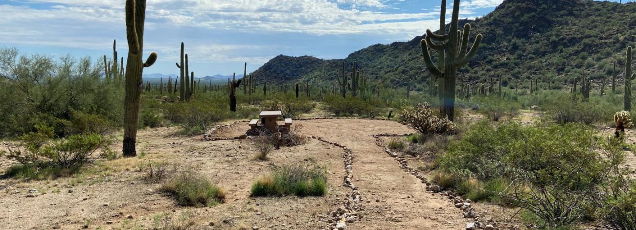Estrella Wayside Campsite