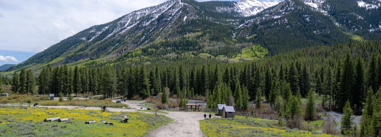 view from campground entrance road, snow dusted mountains, forest, wildflowers, mountain biker