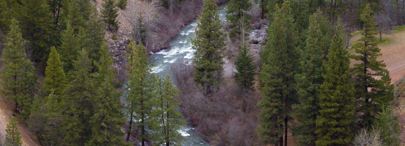 White Wild and Scenic River
