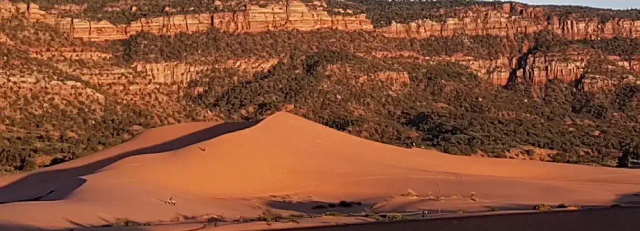 Coral Pink Sand Dunes