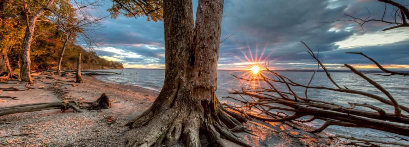 Sunset at the beach