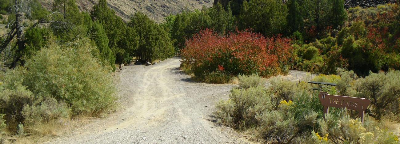 The Forks Campground