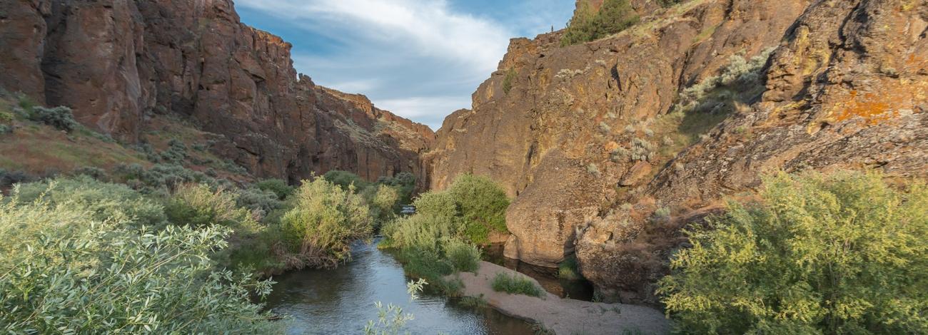 North Fork Owyhee Wild and Scenic River near Three Forks