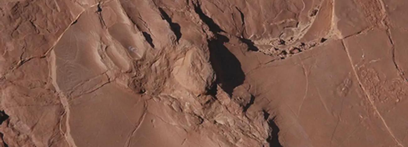Fossil Footprint at Prehistoric Trackways National Monument