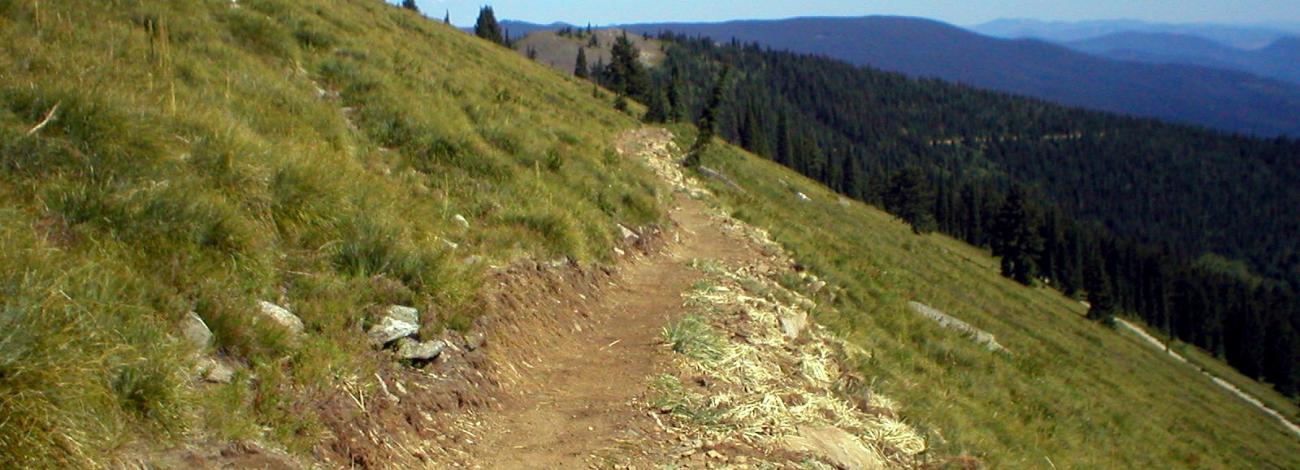 Delaney Creek