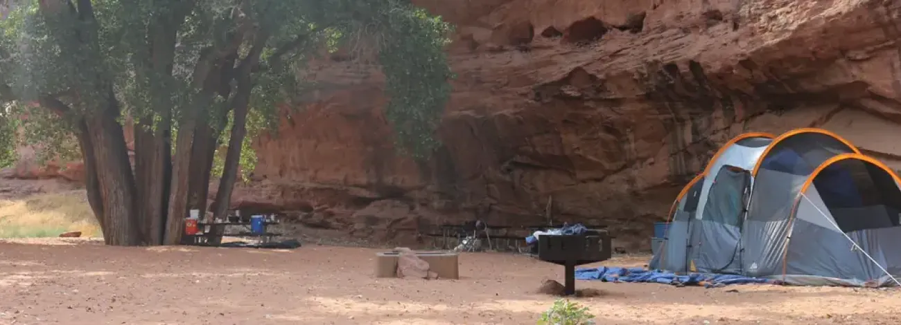 Moonflower Canyon Group Site