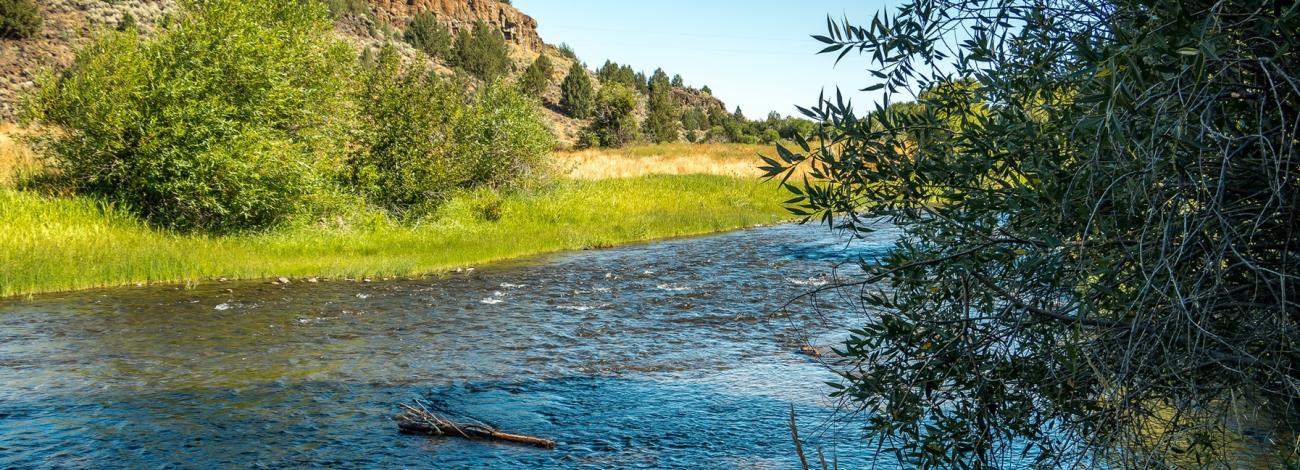Donner und Blitzen Wild and Scenic River