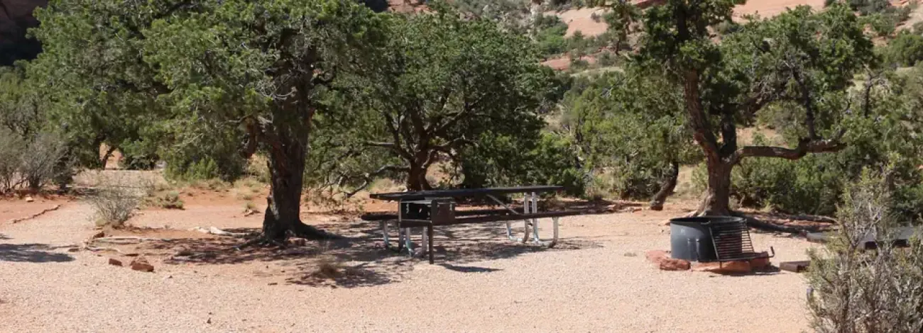 Windwhistle Group Site