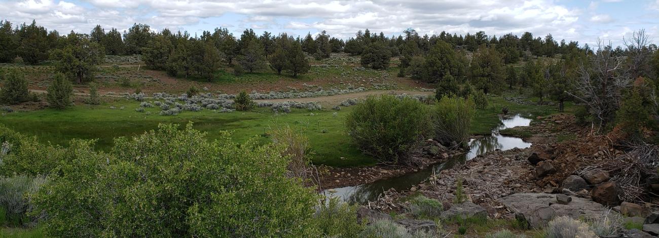 Duncan Reservoir Campground