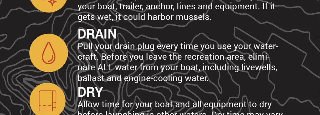 Clean, Drain, & Dry