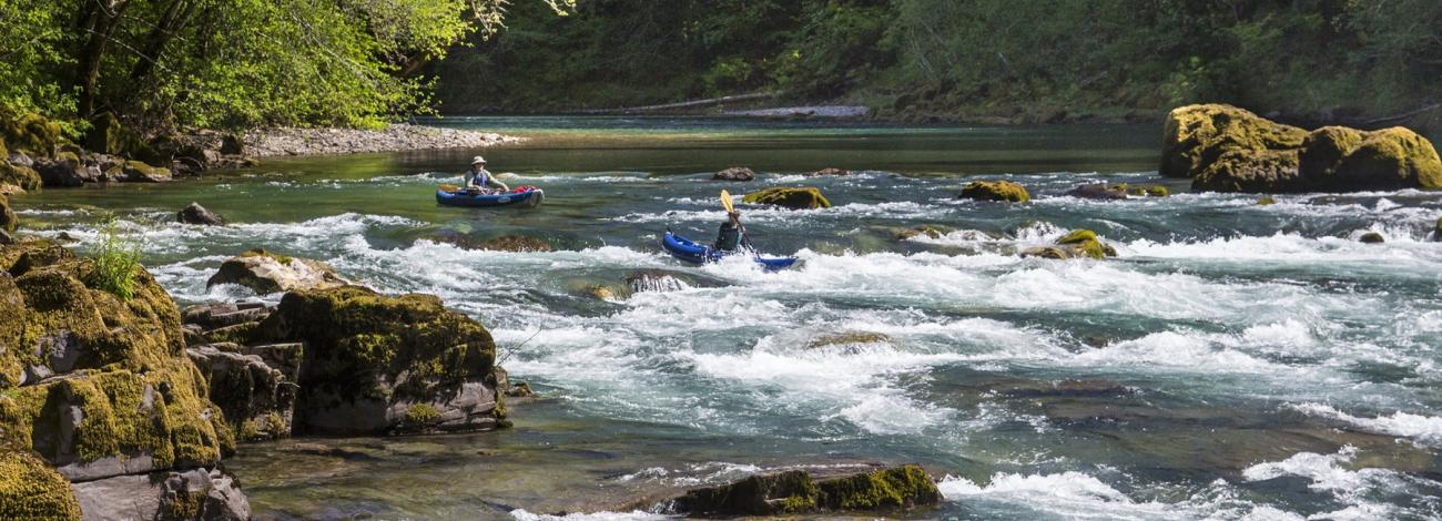 Kayakers on the North Umpqua Wild and Scenic River