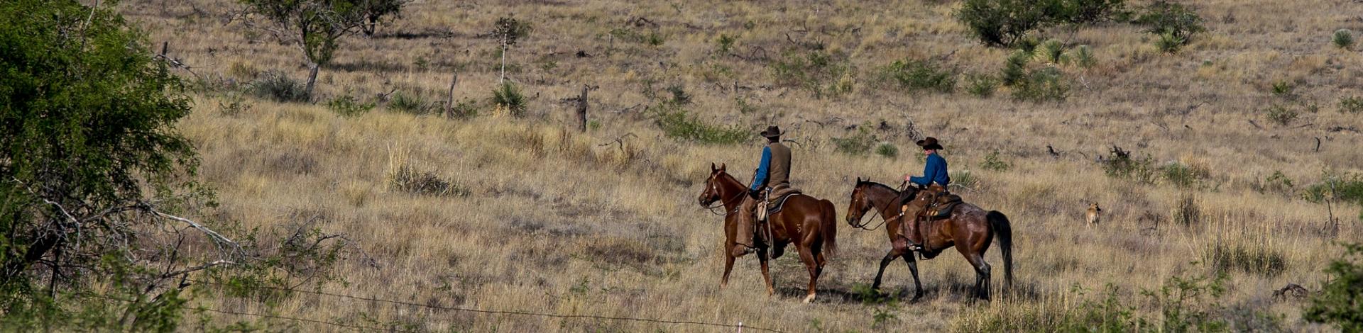 Rangeland in Arizona